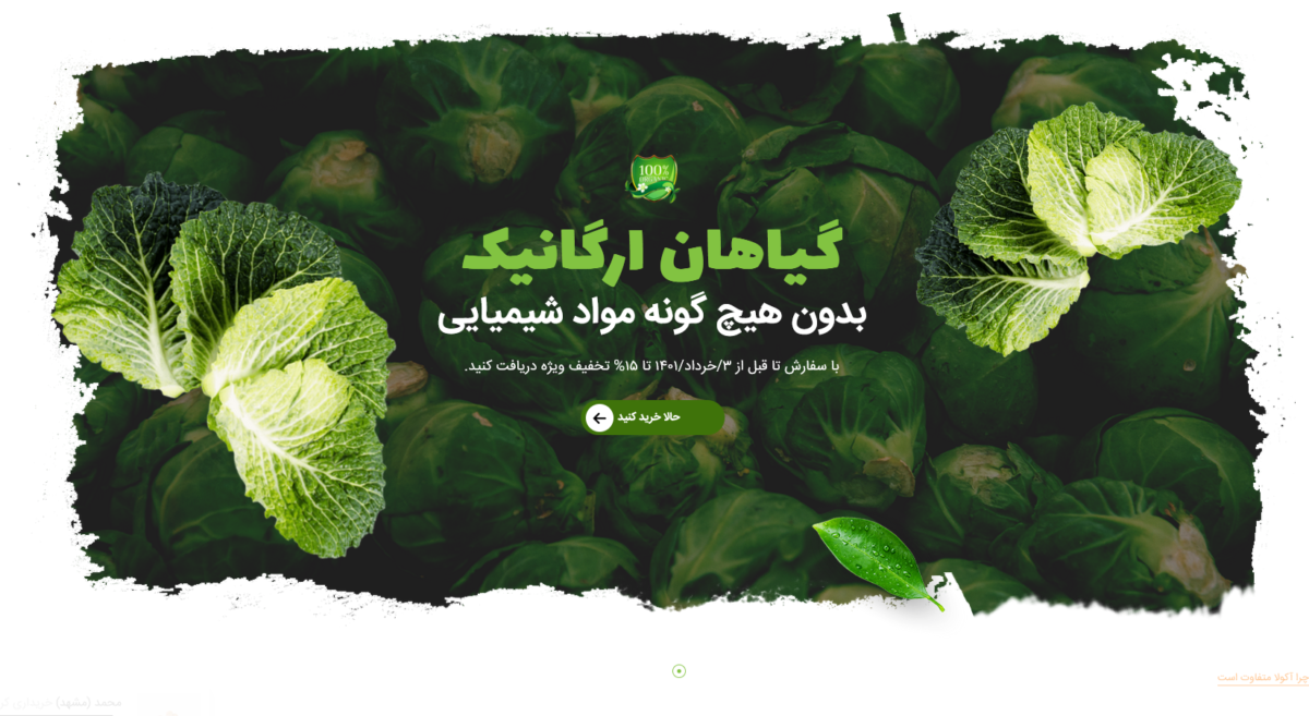 نمونه کار فروشگاهی 3/ فروشگاه گل و گیاه فلآریا