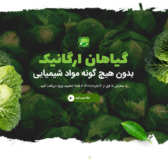 نمونه کار فروشگاهی 3/ فروشگاه گل و گیاه فلآریا