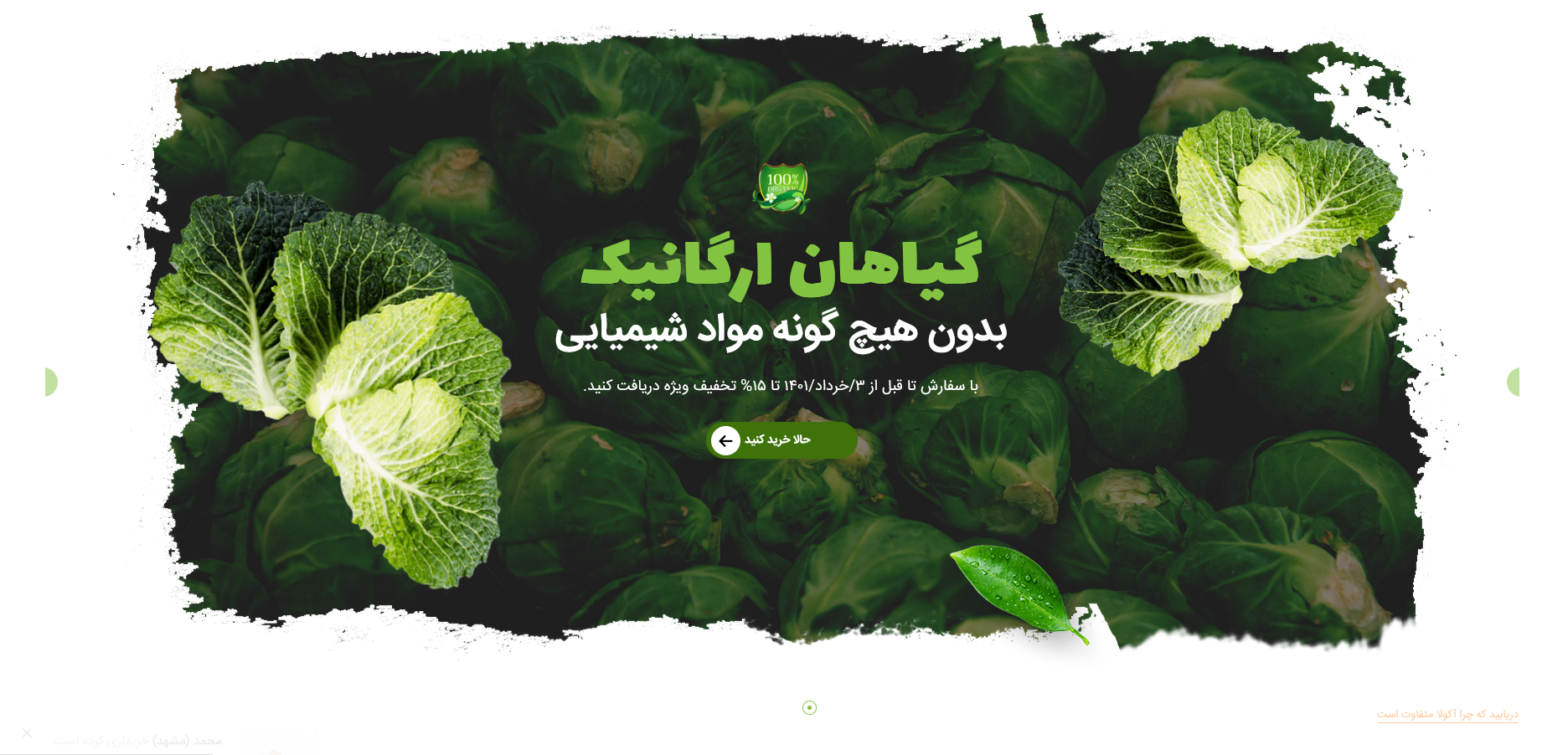 نمونه کار فروشگاهی 3/ فروشگاه گل و گیاه فلآریا